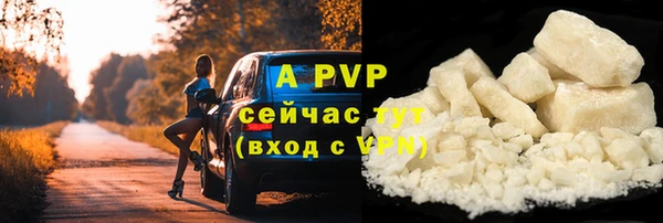 СК Володарск