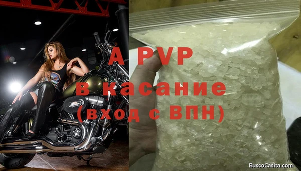 СК Володарск