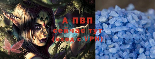 СК Володарск